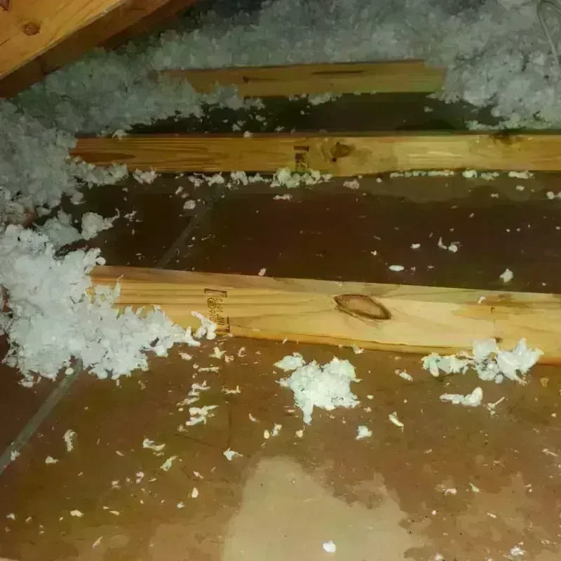 Attic Water Damage in Florence, TX