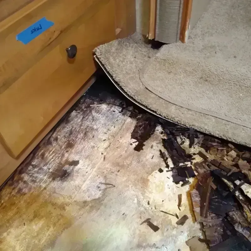 Wood Floor Water Damage in Florence, TX